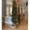 thumbnail image 3 of Flexible Flyer 9 Ft Pencil Christmas Tree. 1500 Fir Branch Tips. Tall Slim Skinny Narrow Thin Unlit Artificial Xmas, 3 of 6