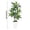 White #u28, variant on Uxgjfwu Artificial Dracaena Plant, Tall Faux Greenery with Variegated Leaves in Grey Pot, Lifelike Indoor Floor Plant, for Living Room Office Home Corner Decor