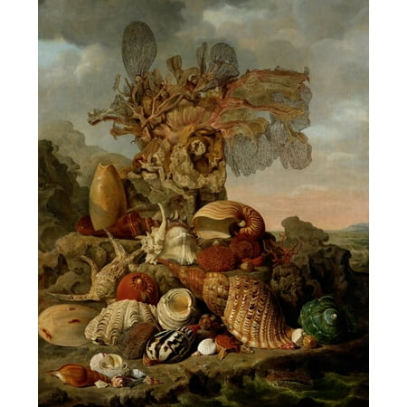 Dutch Still Life - Shells And Marine Plants By Henricus Franciscus Wiertz 1809 Dutch Painting Oil On Canvas Still Life With Exotic Shells And A Pieces Of Coral Set In A Coastal Landscape Poster Print