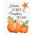 thumbnail image 3 of Robinson, Tamara 20x24 Black Modern Framed Museum Art Print Titled - Autumn Leave and Pumpkins Please, 3 of 5