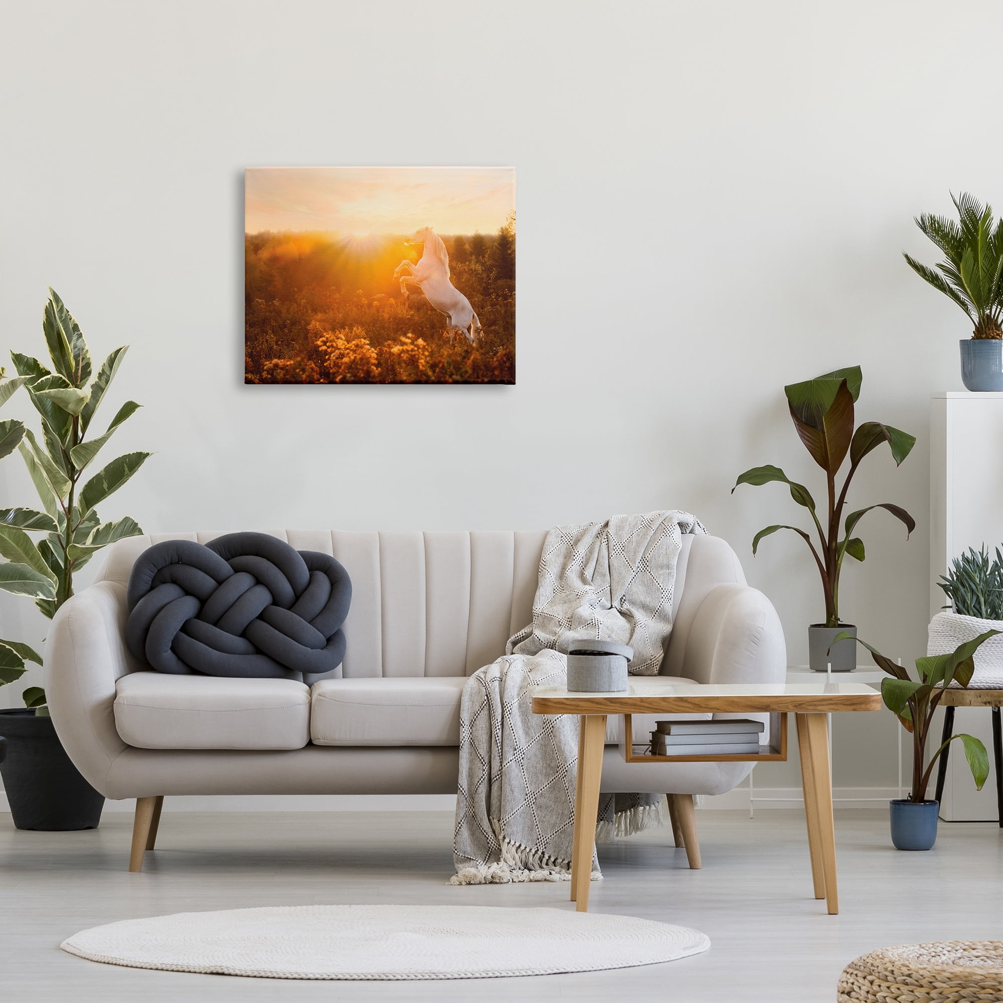 Stupell Industries Standing Horse in Rising Sun Landscape Photography Gallery Wrapped Canvas Art Print Wall Art, 30 x 24