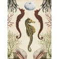 thumbnail image 2 of McCavitt, Naomi 12x14 Black Ornate Wood Framed with Double Matting Museum Art Print Titled - Antiquarian Menagerie - Seahorse, 2 of 4