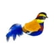 thumbnail image 2 of Juguete para gatos Yinane Sonido de pájaro que chirría Juguete de peluche interactivo realista Azul y Amarillo, 2 of 8
