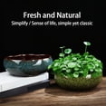 thumbnail image 3 of Wweixi Lotus Bowl Flowerpot Small Flowering Plants Hydroponic Flowerpot Provides type+2, 3 of 5