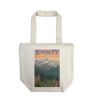 Pro Mounts Camping - Stanley lunch box (white mat) ទំហំ : 33x17x26cm Price  : 1xx$