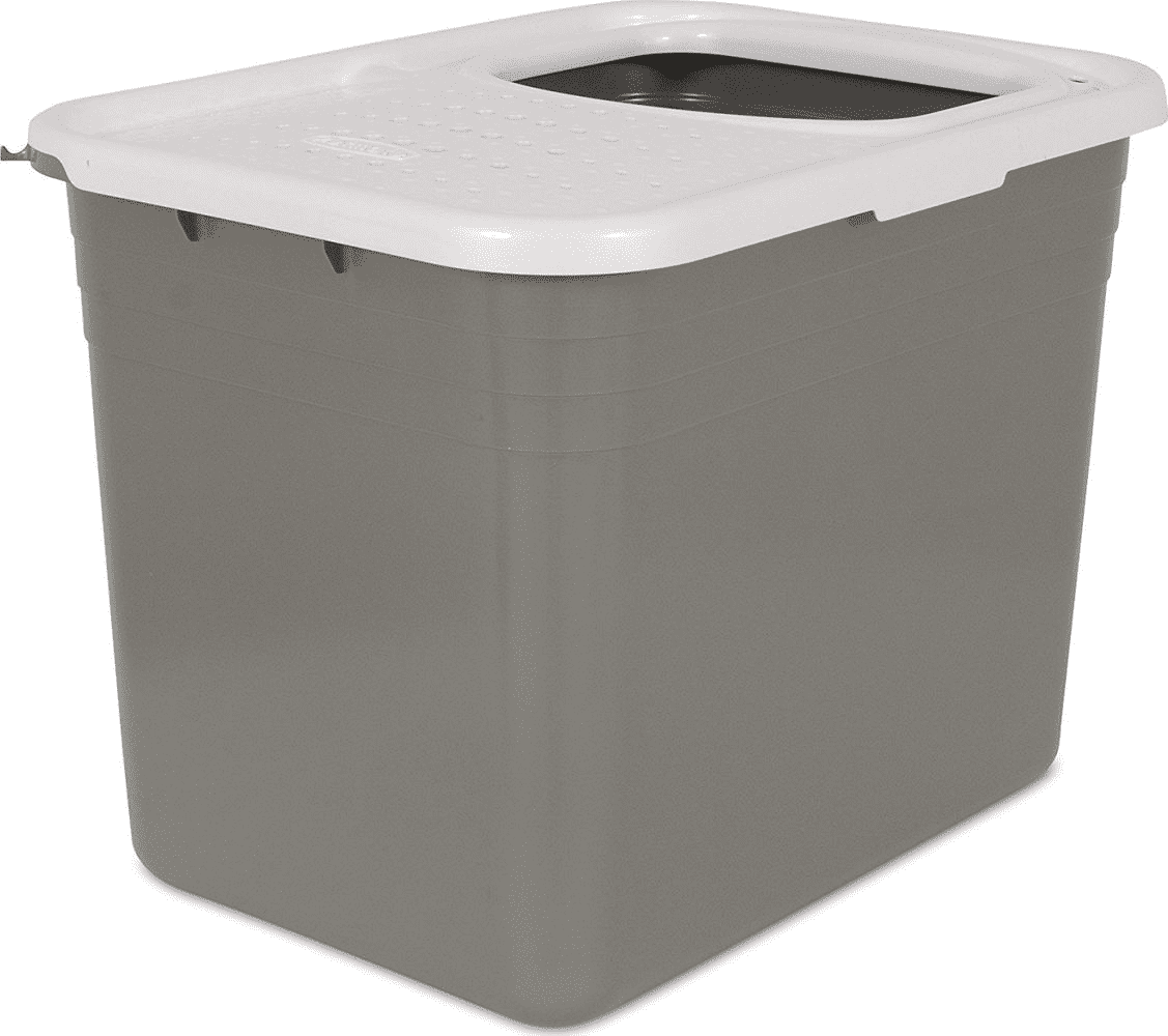 Petmate Open Top Cat Litter Box Top Entry Plastic Cat Litter Pan, Silver, 20" x 15" x 15"