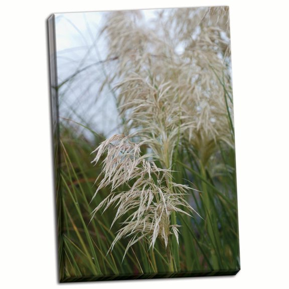 Gango Home Decor Native Grass II by Erin Berzel (Ready to Hang); One 24x36in Hand-Stretched Canvas