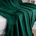 thumbnail image 2 of Super Soft Fleece Blanket, Microfiber All Seasons Comfort Cover, 2 of 5