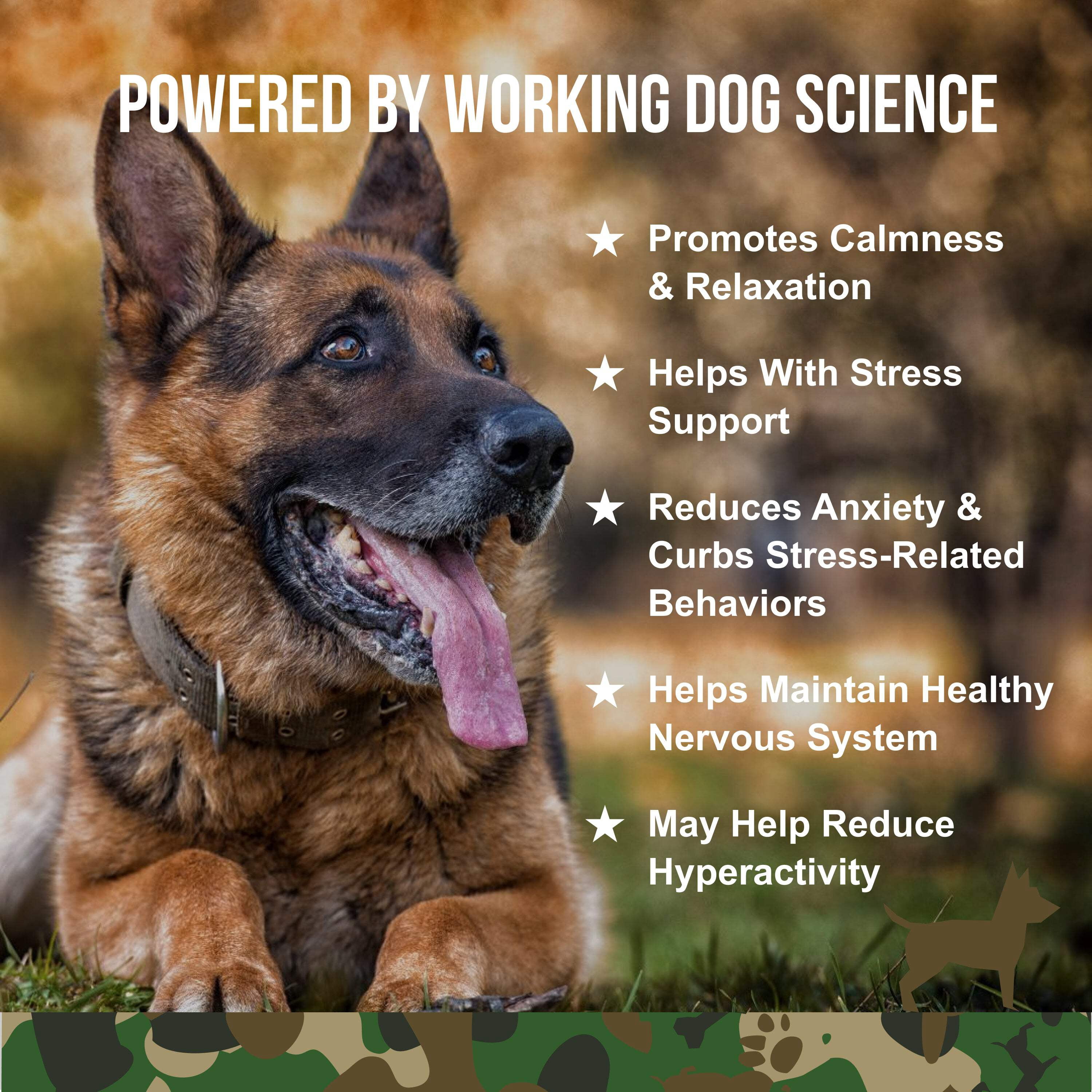 Operation Good Boy SRE: Calming Health Supplement for Dogs, Beef Liver Flavor, Ready to Eat, 90 Soft Chews