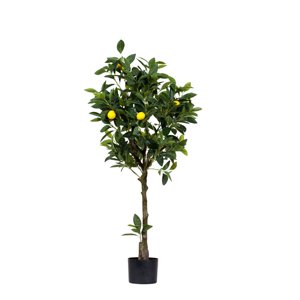 The Garden - Arbol De Limon 120 Cm