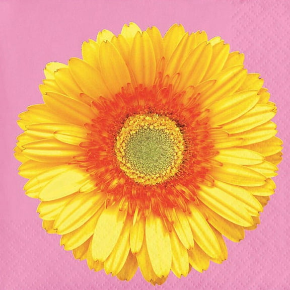 Floral 'Petal Pop' Small Napkins (16ct)