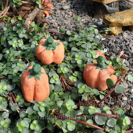 Miniature October Pumpkins, Set of 3 for Miniature Garden, Fairy Garden