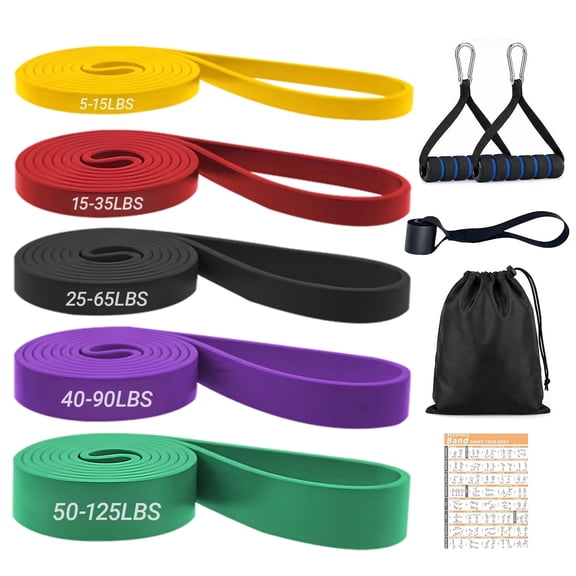 5 Levels Resistance Bands Set with Door Anchor & Handles - Heavy Duty Pull Up Assist Bands for Men & Women, Home Gym Workout, Yoga, Strength Training and Stretch Mobility