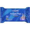 Equate 60ct Flushable Wipes