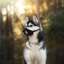 LULULION Muzzle for Large Dogs Comfortable Nylon and Metal 1Pcs