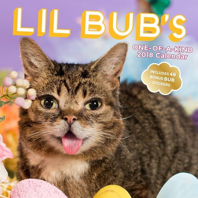 Lil Bub 2018 Wall Calendar (Other) - Walmart.com