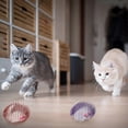 thumbnail image 5 of 5 Pcs Cat Spring Balls Stretchable Cat Springs Toys Interactive Cat Toys Rolling Cat Balls Colorful Playful Coils Spring Action Toy Caged Rats For Kit, 5 of 5