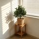 thumbnail image 4 of Mándala artificial de planta para decoración del hogar con base de inserción, adorno interior de plástico verde, versátil para sala de estar, dormitorio, oficina., 4 of 5