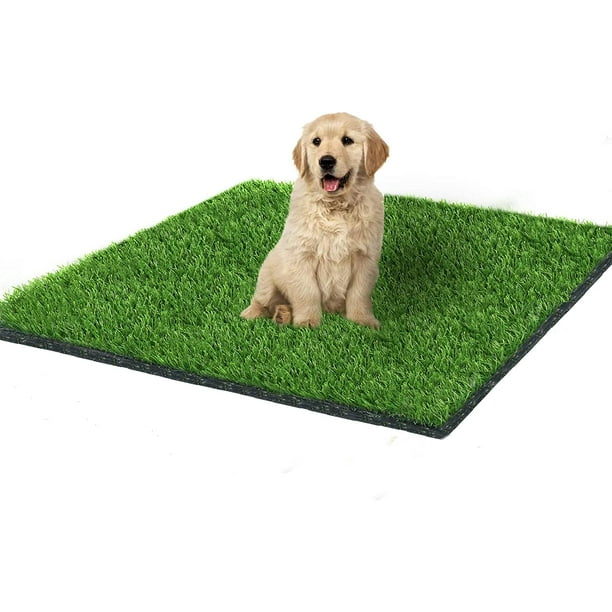 Indoor grass for dogs hot sale