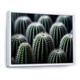 thumbnail image 2 of Designart "Green White Cactus Sublime Simplicity" Floral Floater Framed Canvas Wall Art, 2 of 7