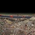 thumbnail image 2 of Camco Adjustable Stackable RV Sewer Hose Drain Support Kit (6 Troughs), 2 of 10