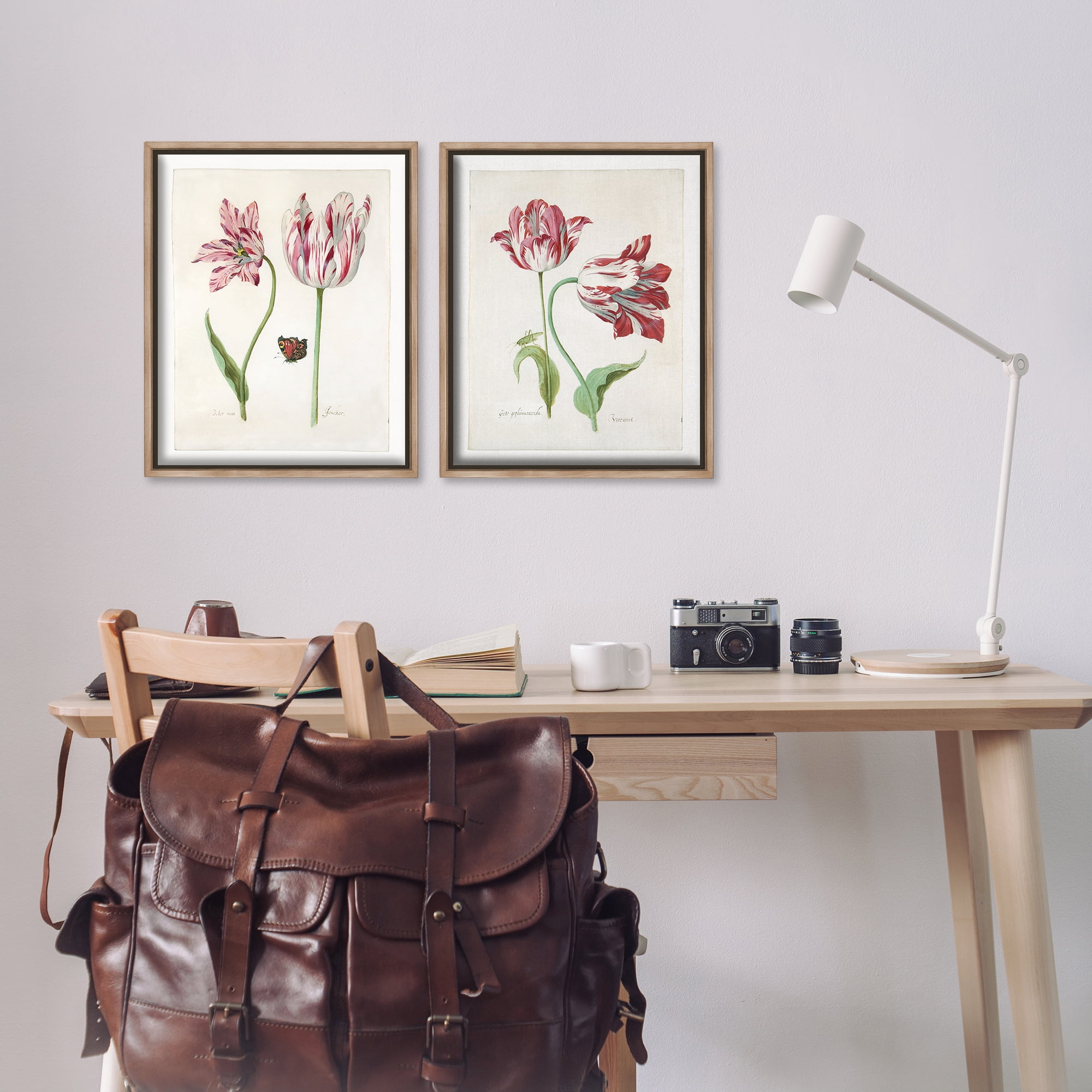 Stupell Industries Vintage Tulip & Insect Studies Floral & Botanical Painting Brown Floater Framed Canvas Art Print Wall Art, 17 x 21, Set of 2