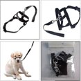 thumbnail image 3 of Halti Head Collar Dog Training Obedience Stop Pulling On Lead No Pull Solution, 3 of 5