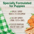 thumbnail image 4 of Nylabone Healthy Edibles All-Natural Long Lasting Puppy Chew Treats Turkey & Sweet Potato X-Small (16 Count), 4 of 10