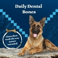 thumbnail image 3 of Blue Buffalo Wilderness Wild Bones Dental Chews Dog Treats, Regular, 27-oz Bag, 3 of 9