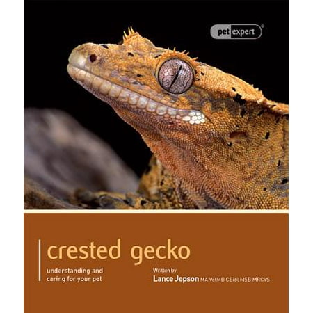 - Crested Gecko : Understanding and Caring for Your Pet