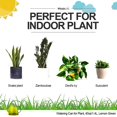 thumbnail image 2 of Regadera verde lima para interiores, regadera para casa, bonsái, plantas, jardín, flores, pico largo, 1,4 l, 1/3 galones, pequeño y moderno, 2 of 5