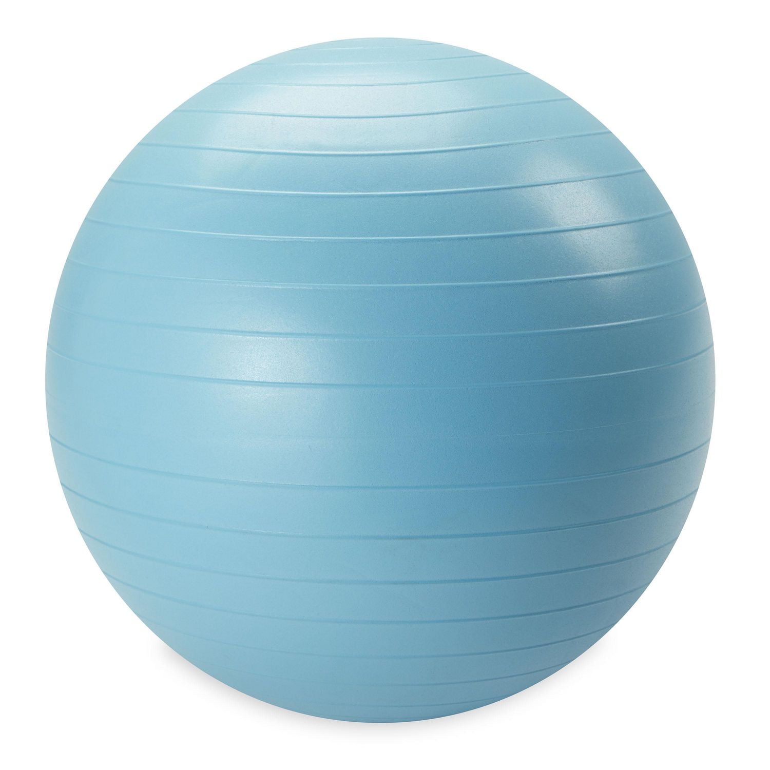 Reebok Delta 55 cm Small Weighted Stability Ball, Pump Included, Various sizes available