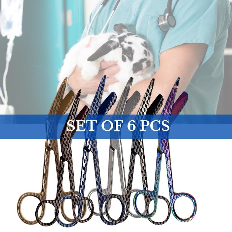 Corporate Gift Bulk Set of 6 Pcs Laser Engraved 5.5" Bandage Scissors, Spread Christmas Cheers with Vet Tech Nurse Admin Office Team