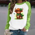 thumbnail image 1 of Xuyuer St. Patrick's Day Sweatshirt for Women Irish Shamrock Pullover Shirts Tops Raglan Sleeve Lucky Leaf Clover Shirt, 1 of 5