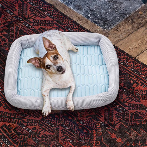 RKSTN Cat Bed Small and Medium-Sized Dog Four Seasons Mat 50*40*6cm Blue