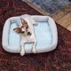 thumbnail image 1 of RKSTN Cat Bed Small and Medium-Sized Dog Four Seasons Mat 50*40*6cm Blue, 1 of 7
