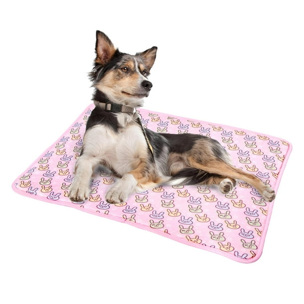 Colchonetas de enfriamiento manta de para perros mascotas colchonetas para perros sofá portátil Tour Camping Yoga dormir - Rosa 40x50cm Yinane camas de enfriamiento