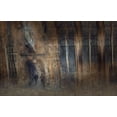 thumbnail image 2 of Van Der, Jan 14x10 Black Ornate Wood Framed with Double Matting Museum Art Print Titled - In The Streets Of Zuthpen-The Netherlands, 2 of 4