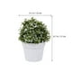 thumbnail image 2 of Simulación de pequeñas plantas en maceta, decoración realista de flores artificiales para el hogar y la oficina., 2 of 5