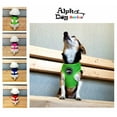 thumbnail image 2 of Alpha Dog Series Pet Safety Harness - Green (XL), 2 of 2
