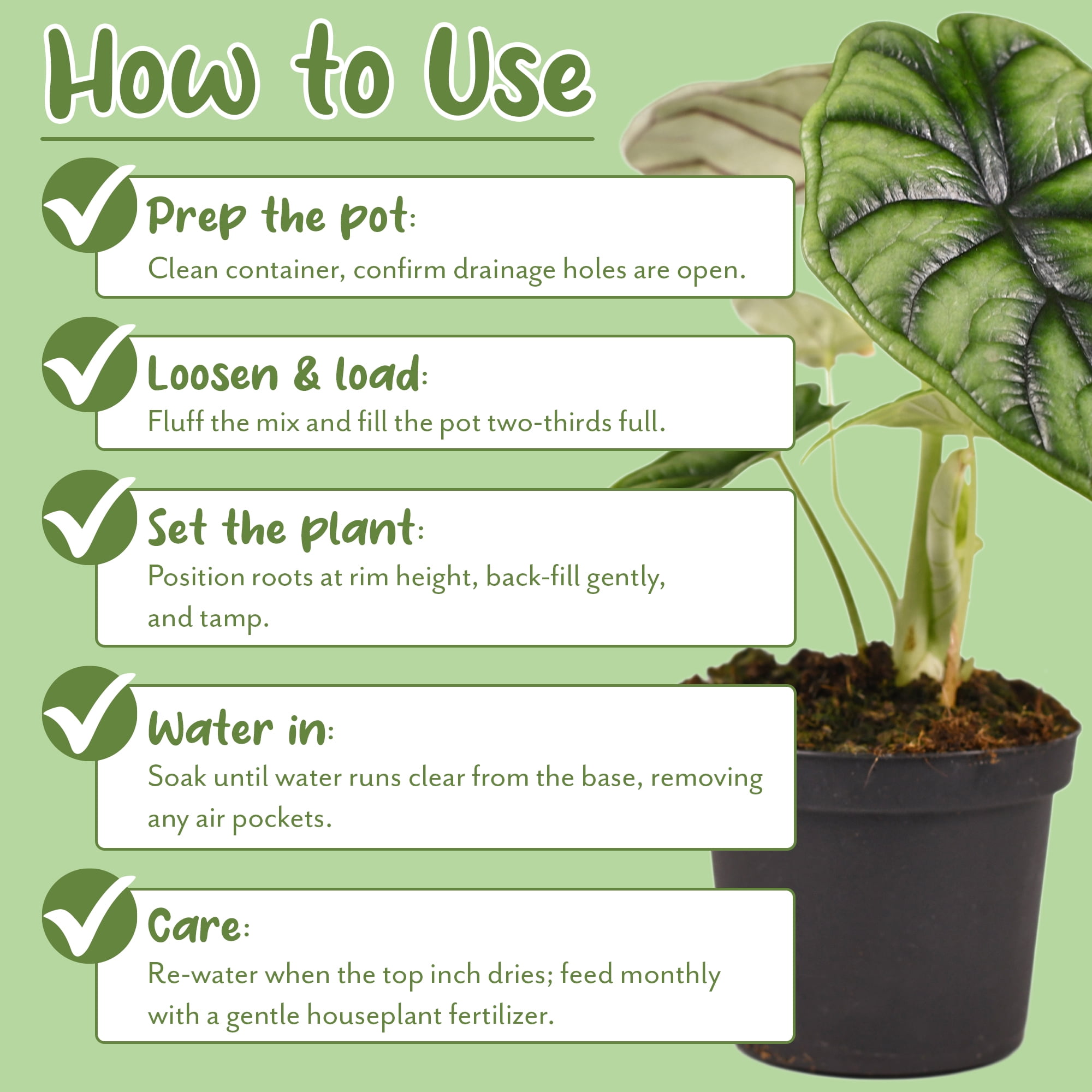 Soil Sunrise Tropical House Plant Potting Mix (12 Quarts); for All Types of Indoor House Plants