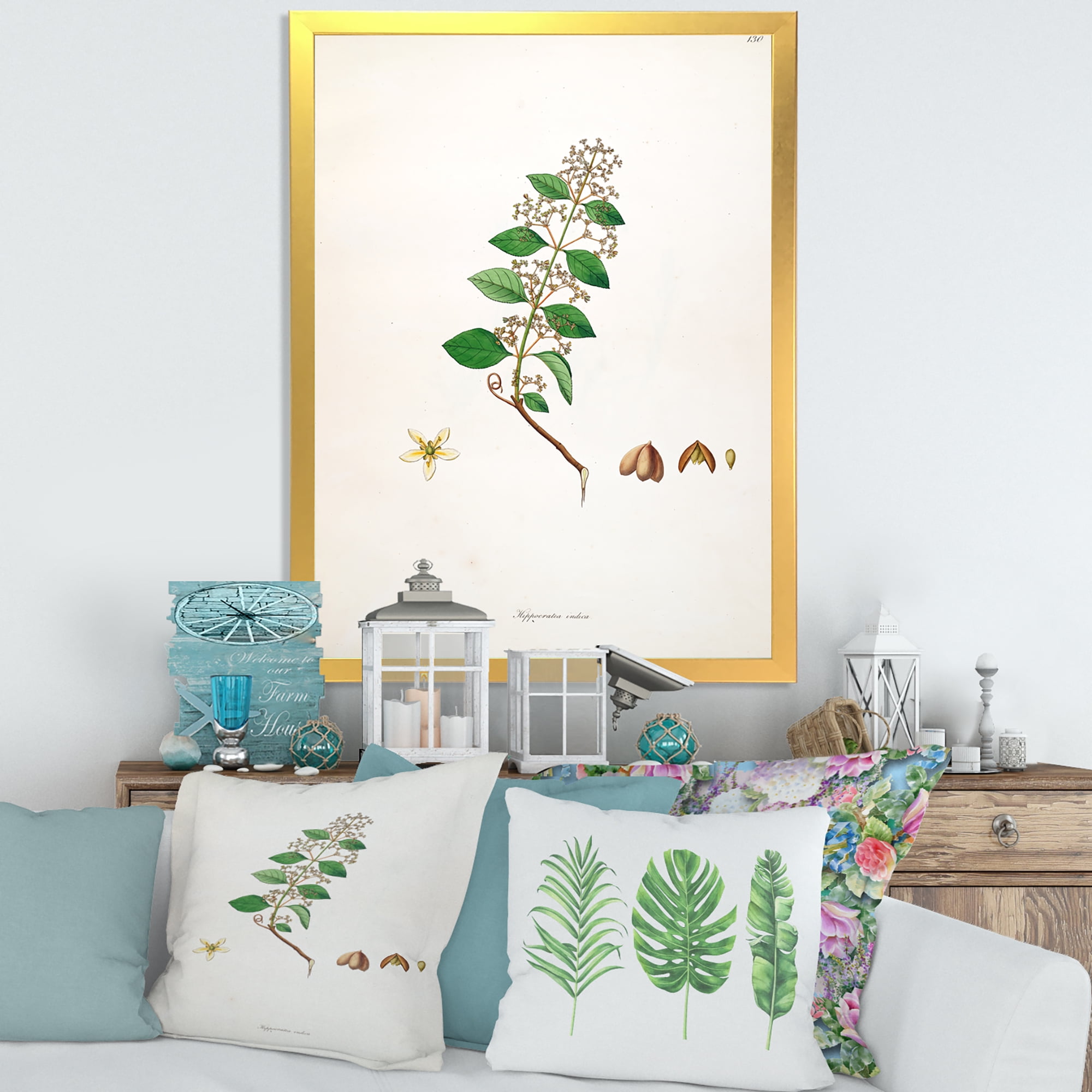 Designart 'Ancient Botanicals I' Farmhouse Framed Art Print