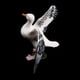 thumbnail image 2 of Plástico Realista Zulema Modelo de Pájaro Silvestre Selva bosque Juguete de figura animal, 2 of 8
