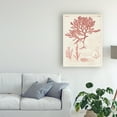 thumbnail image 3 of Trademark Fine Art 'Antique Coral Seaweed II' Canvas Art by Vision Studio, 3 of 4