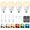 4 Pack, variant on E26 Rechargeable Light Bulb with Remote and Timer, Battery Backup Bulb for Sconces and Lamps, Magnetic Bulbs for Non-Hardwired Fixture, 3 Color Temperatures + 9 RGB Colors, Dimmable, 2 Pack