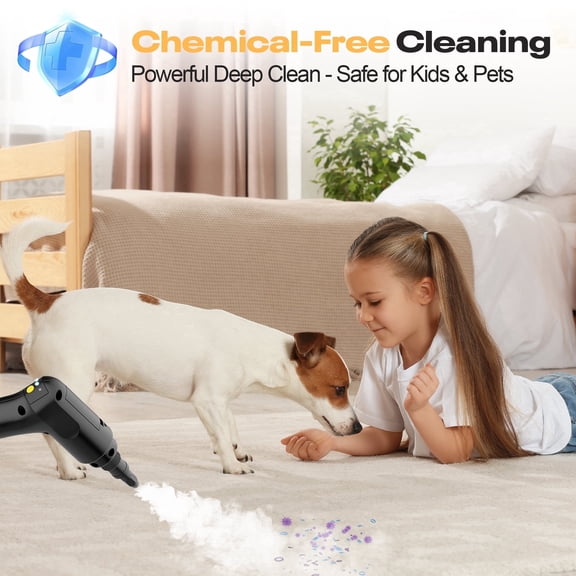 Rebelduck 2-steam cleaner