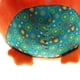 thumbnail image 4 of Peluche Duardero para Niñas Accesorios de Bebés Forma Dibujo dibujos dibujos animadoss Juegos Educativos Macarena Juguete de felpa Bell de mano, 4 of 8