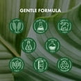 thumbnail image 3 of Alfheim Rosemary+ Purifying Shampoo & Conditioner Set 18oz Each | Vegan Formula, Deep Cleansing & Lightweight Hydration, Balances Scalp Oils, Adds Volume & Shine, 3 of 8