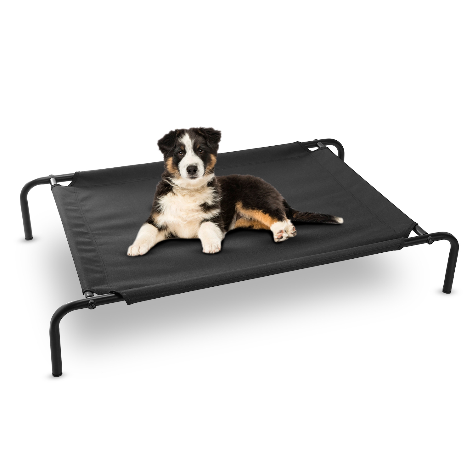 dog bed tear proof