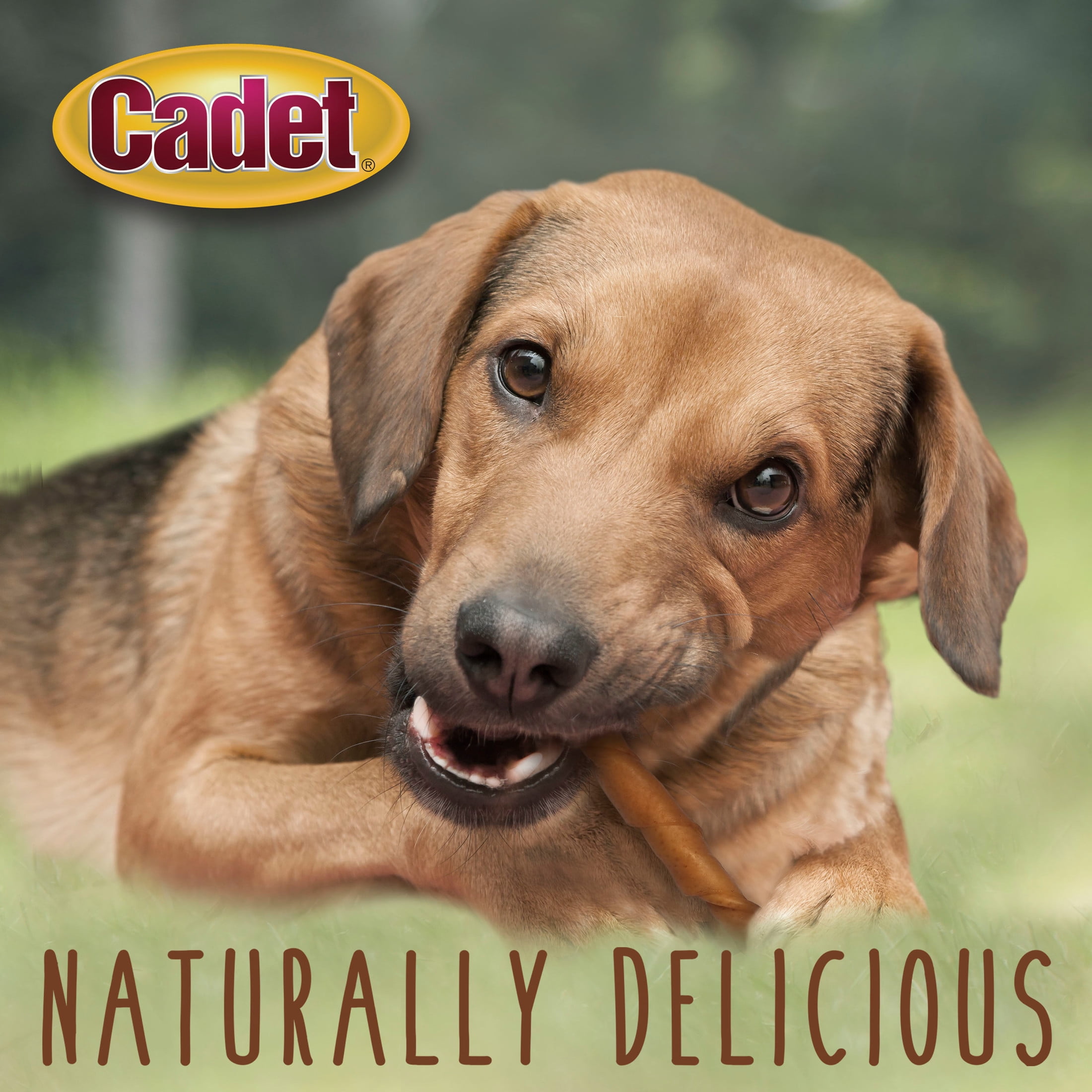 Cadet Gourmet Pork Hide Rolls (5 Count)